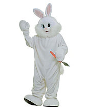 Costumed Easter Bunny character for children's Easter party entertainment in NJ, professional character actor poses as the Easter Bunny, Easter Bunny chow includes Easter music for kids, interactive musical games, sing-alongs, treasure hunt with souvenirs, charcter can oversee your Easter Egg Hunt, pose for photos, Easter stickers