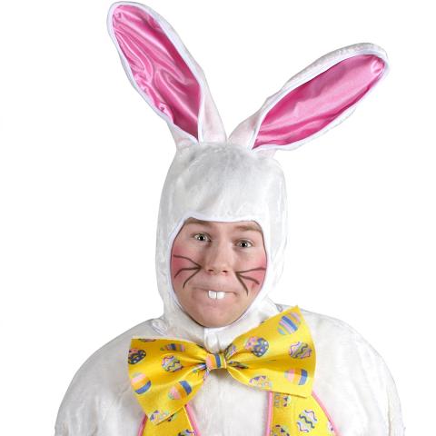 Children's Easter Bunny Rabbit character for easter parties and easter egg hunts, professinal actress and singer poses as the Easter Bunny, show includes background eater music, easter songs, meet and greet, interactive musical games, puppet, bunny rabbit balloons, stickers, optional tattoos and face painting